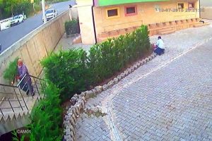 Cemaat namazdayken cami avlusundaki çam ağaçlarını kesip çaldılar