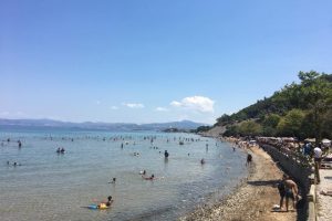 Milli parka ziyaretçi akını