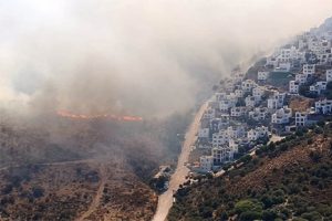 Bodrum'daki yangın kontrol altına alındı