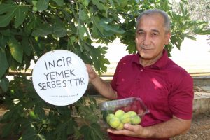 Okul müdürü yenmeyen meyveleri için bu tabelayı astı