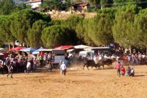 Geleneksel festival ringe dönüştü!
