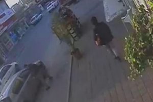 Sahte polisler birbirini dolandırdı