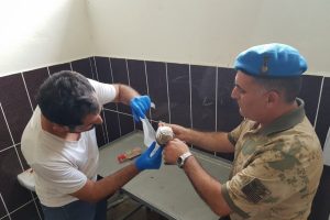 Yaralı baykuşa Mehmetçik şefkati