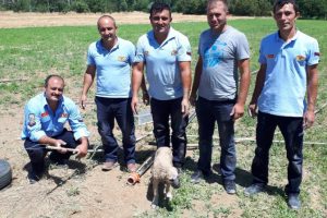 Yavru köpeği itfaiye ekipleri kurtardı