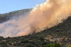 Seydikemer'de anız yangını ormana sıçradı