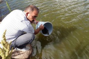 Göletlere 110 bin yavru balık bırakıldı