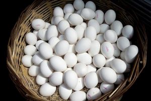 YUM-BİR'den zam haberlerine ilişkin açıklama