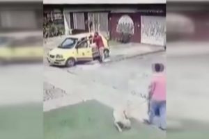 Kolombiya'da ilginç kaza!