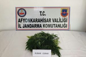 Jandarma ekiplerinden uyuşturucu ve tarihi eser operasyonu