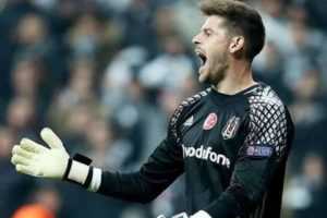 Beşiktaşlı Fabri Fulham'da