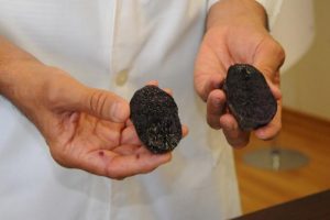 Türkiye'de ilk kez 'mor patates' üretildi