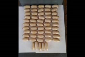 28 kilo kokaini yanlış ülkeye yolladılar
