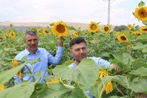 Çin Türkiye'yi çekirdek ile vurdu