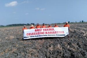 Anız yakanlara 3 yıla kadar hapis