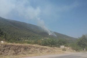 Denizli'de orman yangını