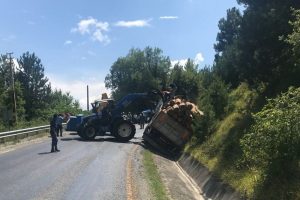 Tomruk yüklü kamyon kanala devrildi