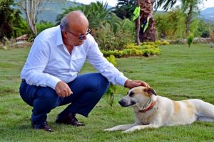 Bursa İznik sahili botanik bahçesine dönecek