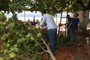 Bursa'da etkili fırtına ortalığı yerle bir etti