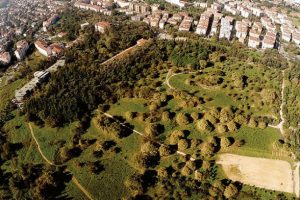 17 ilde 28 tane millet bahçesi hazırlıklarında sona gelindi