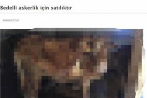 Bedelliden faydalanabilmek için satışa çıkardılar!