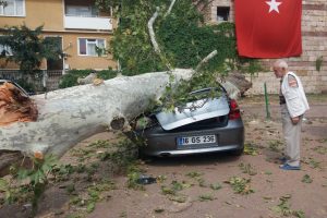 Bursa'da devrilen 190 yaşındaki çınar lüks otomobili hurdaya çevirdi