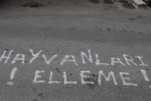 Sokağa bunu yazdı, komşularıyla karakolluk oldu!