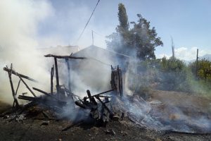 Hayvanları yangından kurtarmak için seferber oldular