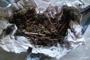 Uyuşturucu ticaretine 3 tutuklama