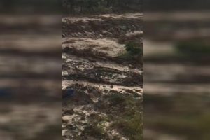 Denizli'de tren faciasını makinistler son anda fark etti