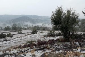 Manisa'da sağanak yağmur ve dolu tarım arazilerine zarar verdi