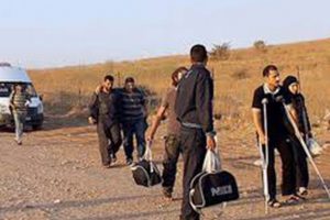 Muş'ta 99 düzensiz göçmen yakalandı