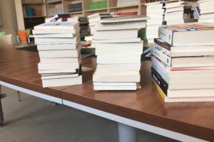 Bursa'dan Cizre'ye kitap köprüsü