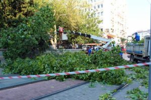 O sesi duyan simitçi bir anda bağırmaya başladı! Son anda...