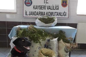Jandarma uyuşturucu tacirlerine nefes aldırmıyor!