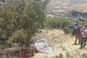 Ormanlık alanda ölü bulundu