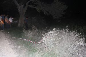 Ormanlık alanda kadın cesedi bulundu