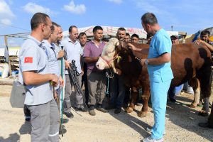 Bursa'da kurban yakalama timi göreve hazır