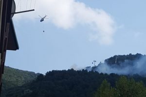 Bursa'da orman yangını çıktı!