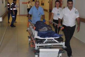 Bursa'da Koçun tosladığı kadın hayatını kaybetti