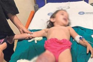 Çığlıklarına koştular! Korku dolu anlar