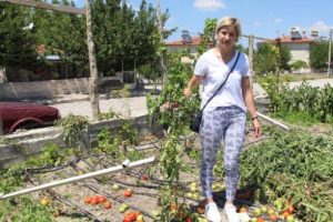 Kaçak yapılan seralar yıkıldı