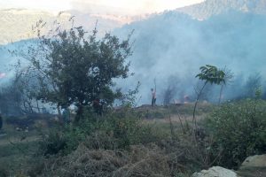 Orman yangını büyümeden söndürüldü