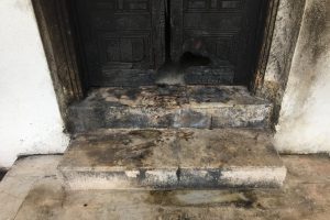 Bursa'da tarihi kapısı ateşe verilen Hatice Sultan Türbesi madde bağımlılarının mekanı oldu