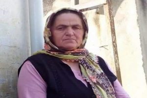 Budadığı ağaçtan düşerek can verdi