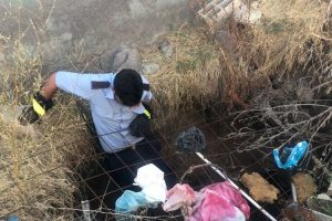 Kuyuda mahsur kalan yavru köpekler itfaiye tarafından kurtarıldı