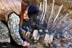 Yakutistan'da mamut fosili bulundu