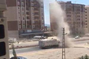 İnanılmaz görüntü! Gördüğü halde üzerine sürdü