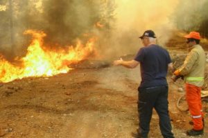 Kaş'ta 25 hektar orman yandı