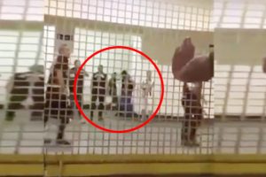 Bursaspor taraftarınaı darp eden polis açığa alındı