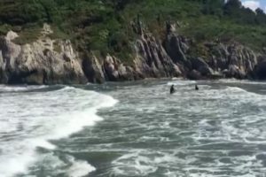 Ağva'da 10 yaşındaki çocuk boğuldu